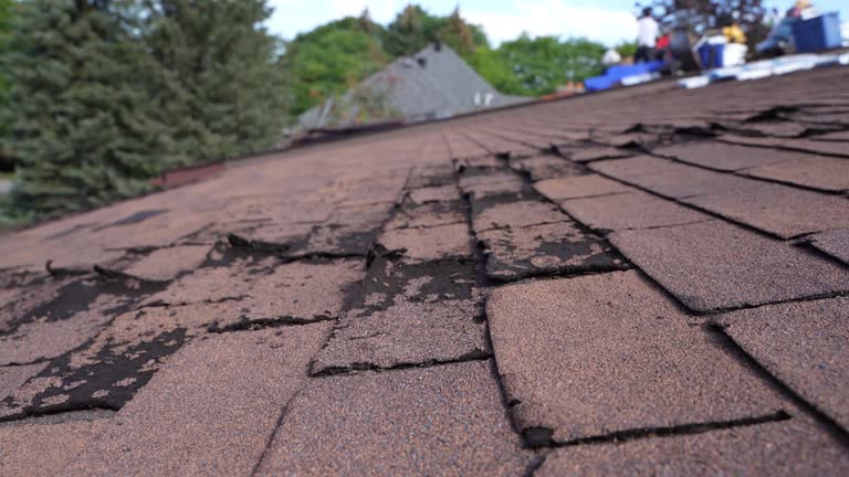 Best Commercial Roofing Services  in West Fargo, ND